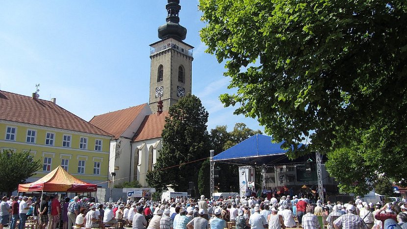 2014_07_20 Kubesfestival Sobeslav (3)